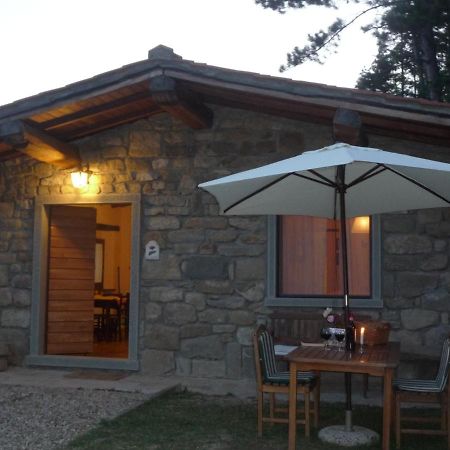 Magnolia Tuscany House With Pool Agriturismo Poppiena Pratovecchio Dış mekan fotoğraf