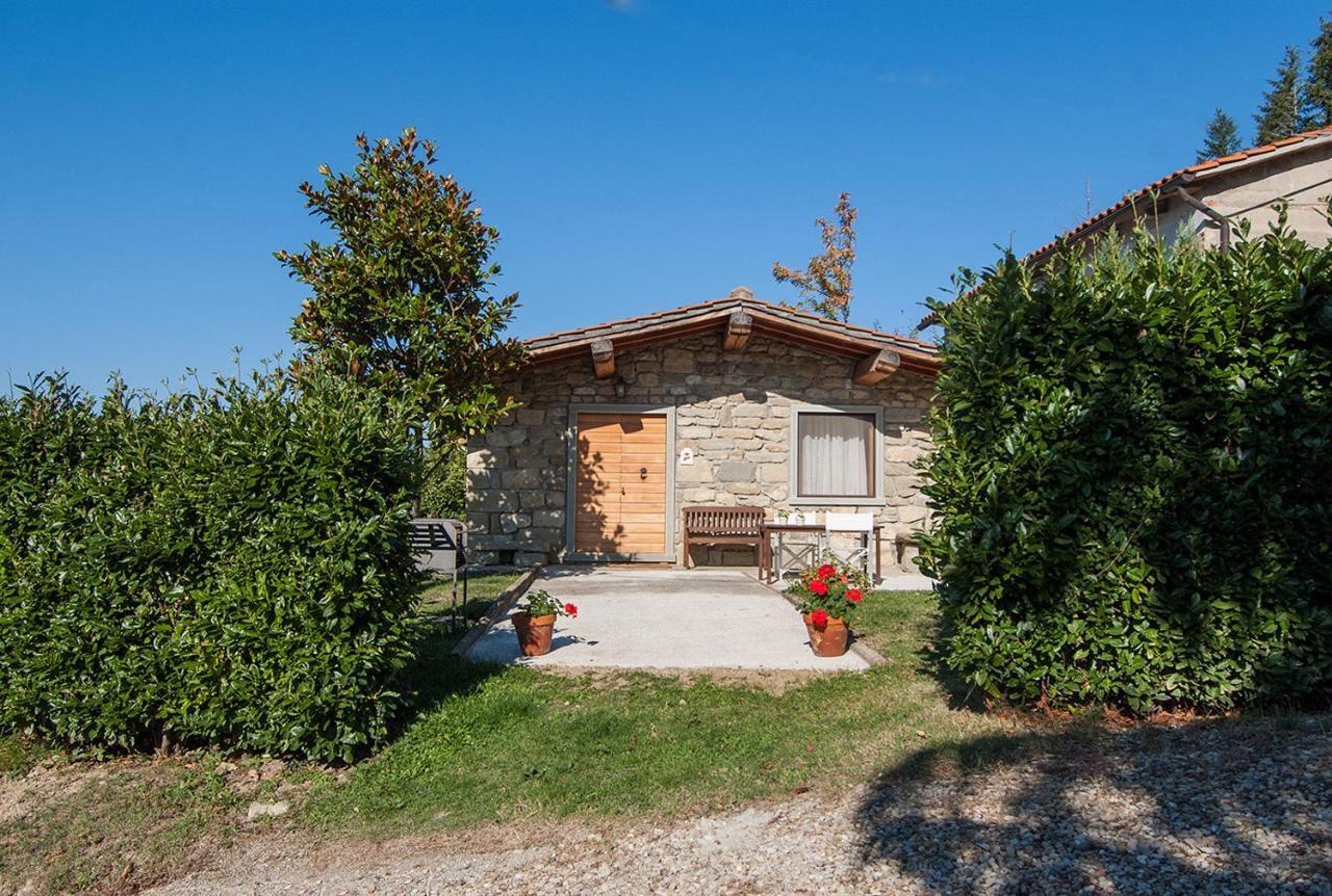 Magnolia Tuscany House With Pool Agriturismo Poppiena Pratovecchio Dış mekan fotoğraf