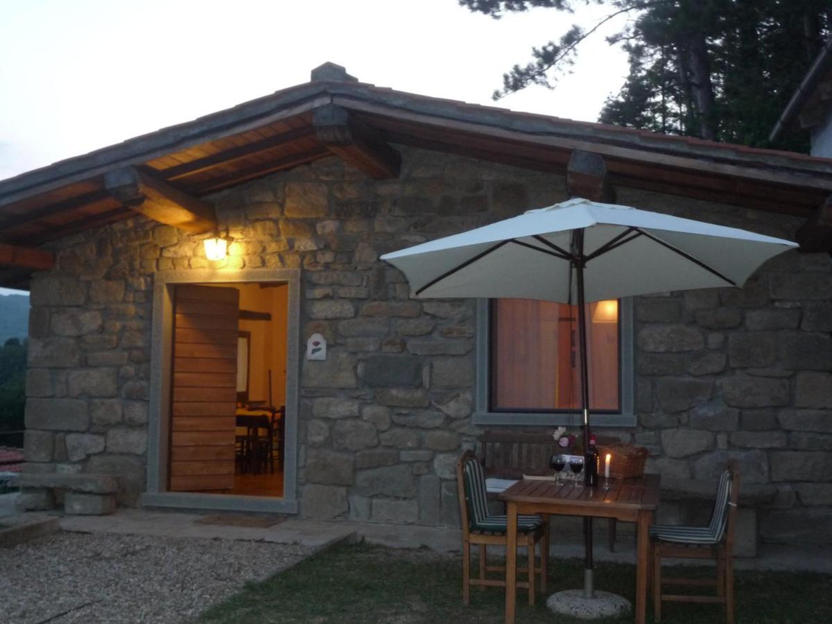 Magnolia Tuscany House With Pool Agriturismo Poppiena Pratovecchio Dış mekan fotoğraf
