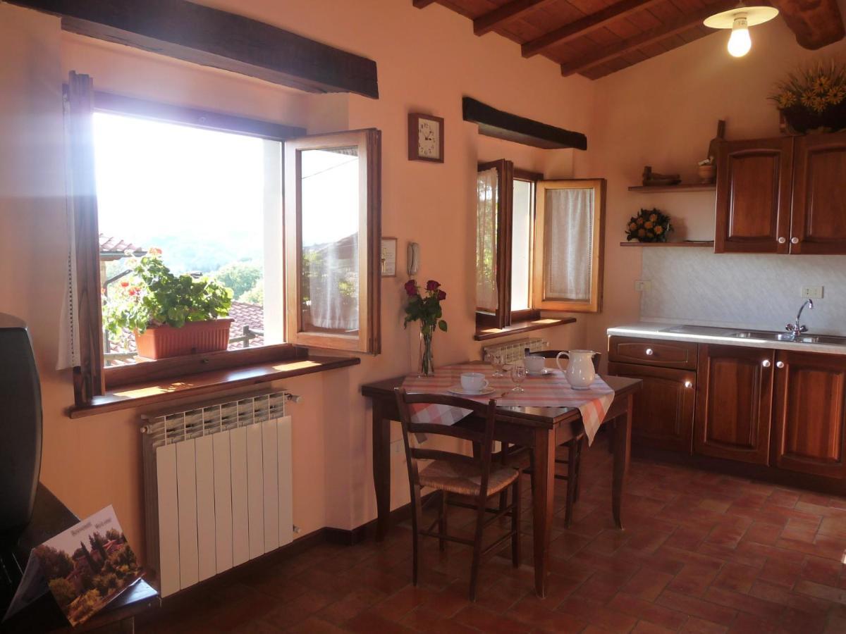 Magnolia Tuscany House With Pool Agriturismo Poppiena Pratovecchio Dış mekan fotoğraf